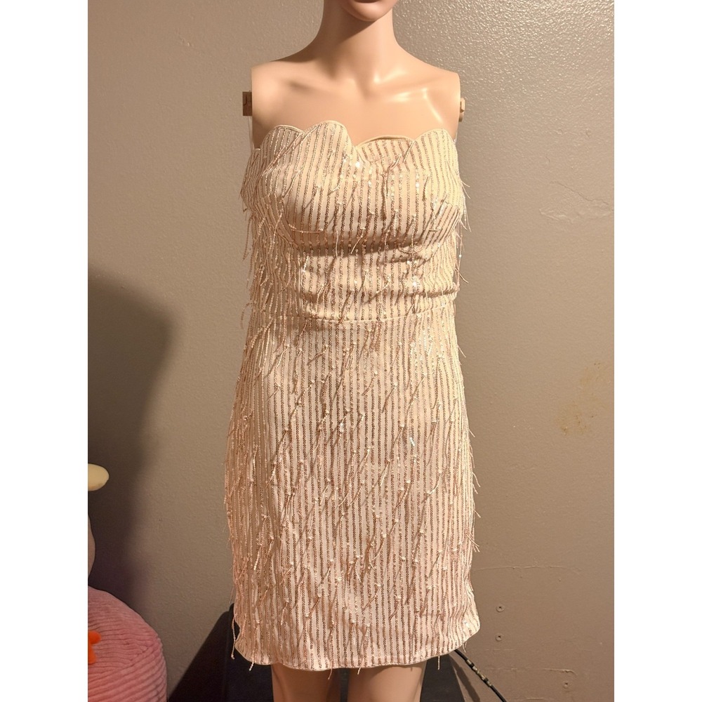 Miss Ord Tan Sequin Tassels Sleeveless Scalloped Chest Edge Mini Dress Sz XL
